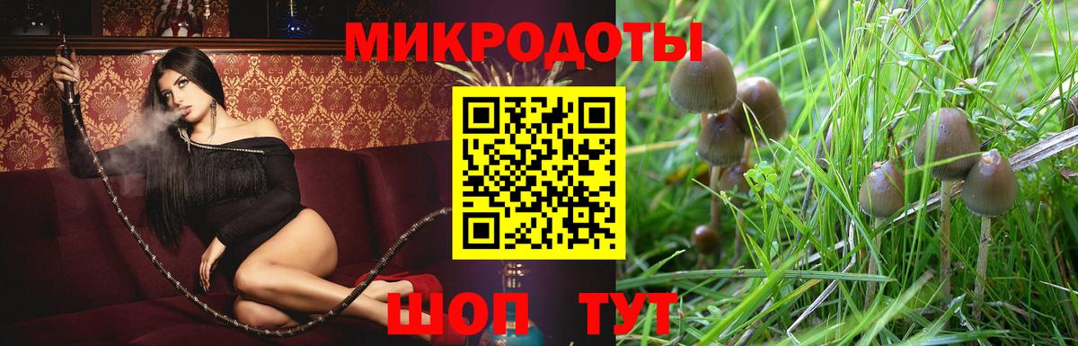 Людиново  Псилоцибиновые грибы Psilocybe  Вход с VPN 